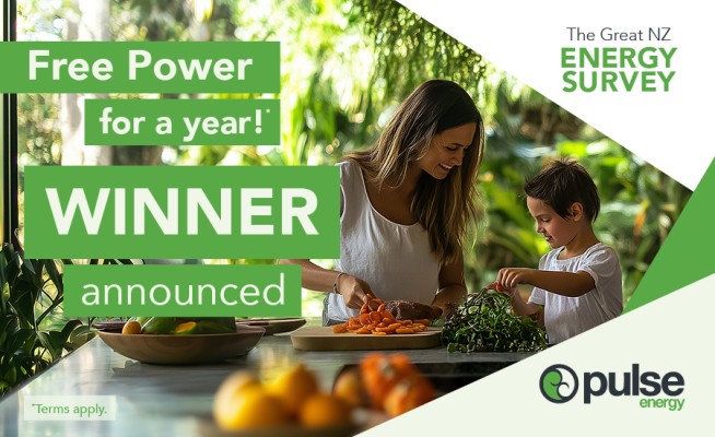 Pulse Win Free Power 900 x 550 2