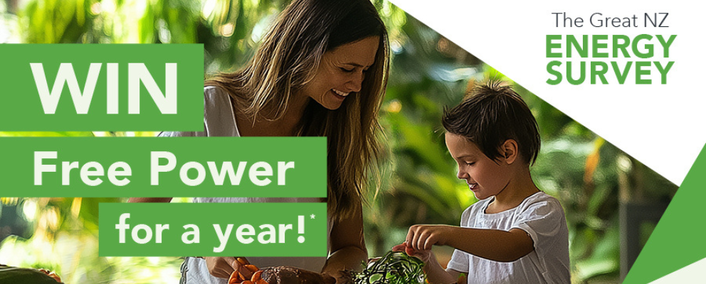 WIN Free Power For A Year*