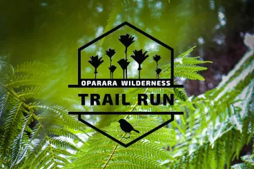 oparara wilderness trail logo with green background