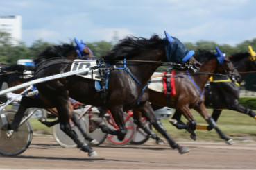 3 horses racing